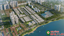 Hình ảnh Liền kề biệt thự Louis City Tân Mai Hoàng Mai Hình ảnh Liền kề biệt thự Louis City Tân Mai Hoàng Mai