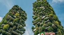 Hình ảnh Ra mắt khu căn hộ Sol Forest Ecpark Hình ảnh Ra mắt khu căn hộ Sol Forest Ecpark