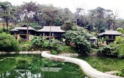 Sai phạm xẻ rừng làm resort ở Ba Vì: Không chỉ có Điền Viên Thôn